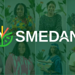 SMEDAN loan application 2026
