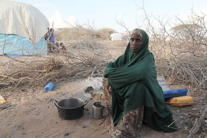 Peter Obi reacts to WFP Northern Nigeria hunger crisis 2026 chart